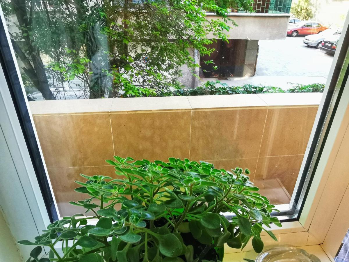 Rila Apartment ソフィア エクステリア 写真